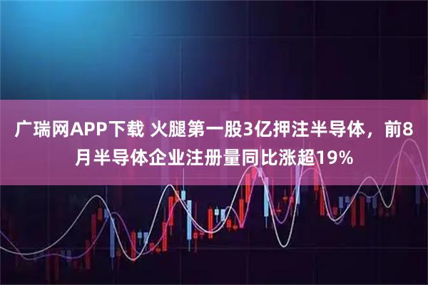 广瑞网APP下载 火腿第一股3亿押注半导体，前8月半导体企业注册量同比涨超19%