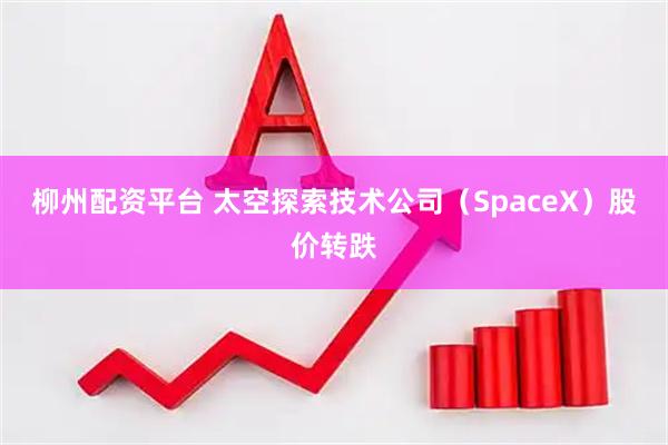 柳州配资平台 太空探索技术公司（SpaceX）股价转跌