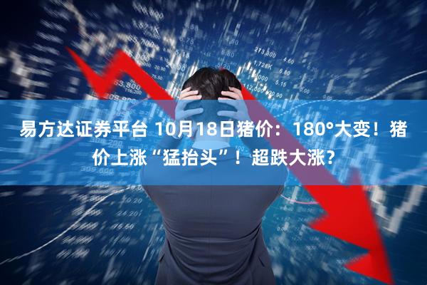 易方达证券平台 10月18日猪价：180°大变！猪价上涨“猛抬头”！超跌大涨？